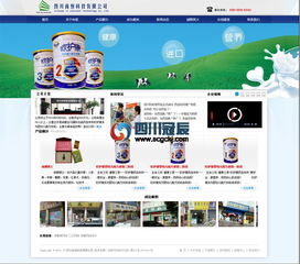 成都网站建设 网络营销 网站设计公司 四川冠辰科技